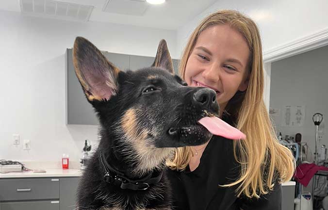 Pet dentistry in Brooklyn and Tribeca NY