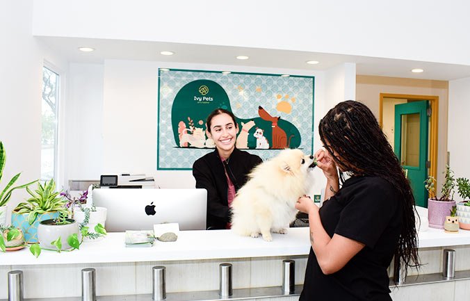 Ivy Pets careers team in Brooklyn NY
