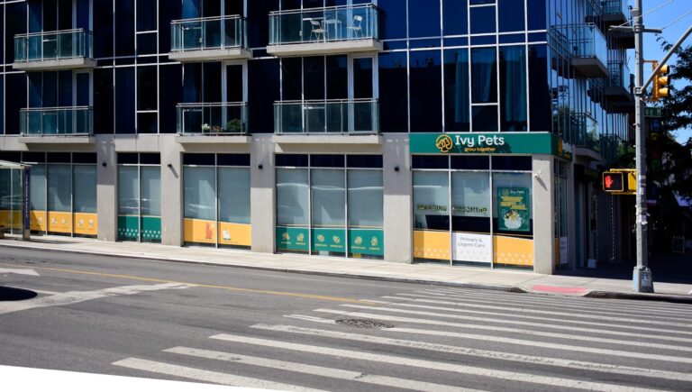 ivy-pets-brooklyn-building3