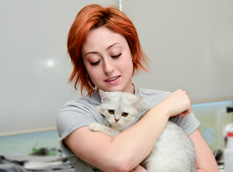 pet-vomiting