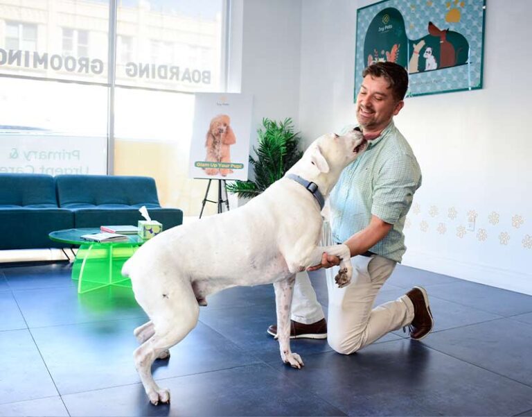 pet-boarding-brooklyn-ny10