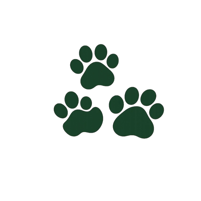 Multi-pet household